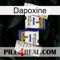 Dapoxin 12